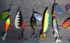 Several multi-colored fishing lures.